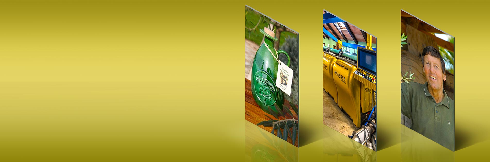 Extra virgin olive oil of the highest quality Istrian olive oil!